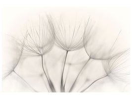 panoramic-canvas-print-no-title