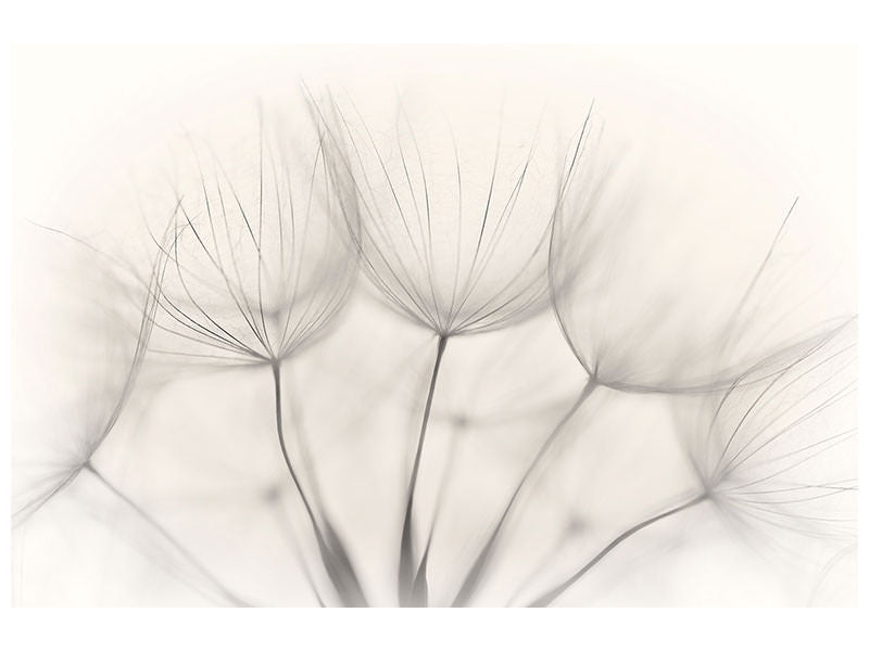 modern-4-piece-canvas-print-no-title