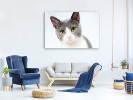 3-piece-canvas-print-noble-cat