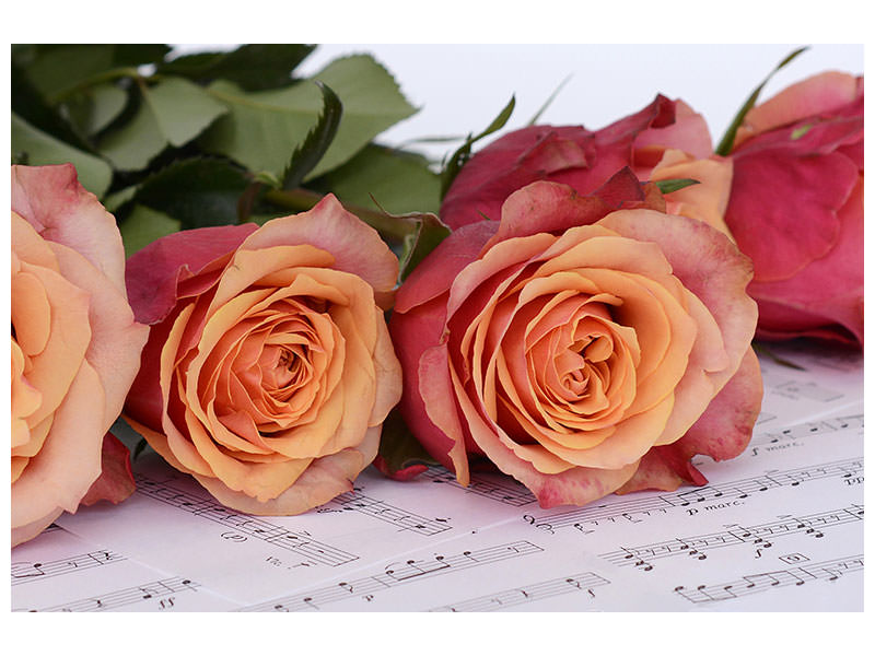 4-piece-canvas-print-notes-of-love