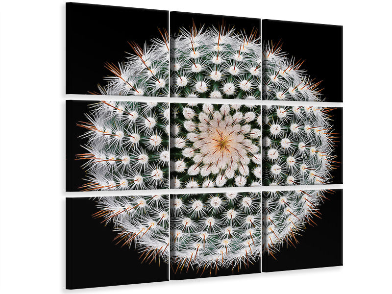 4-piece-canvas-print-notocactus-scopa