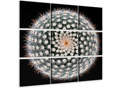 4-piece-canvas-print-notocactus-scopa