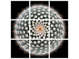 4-piece-canvas-print-notocactus-scopa