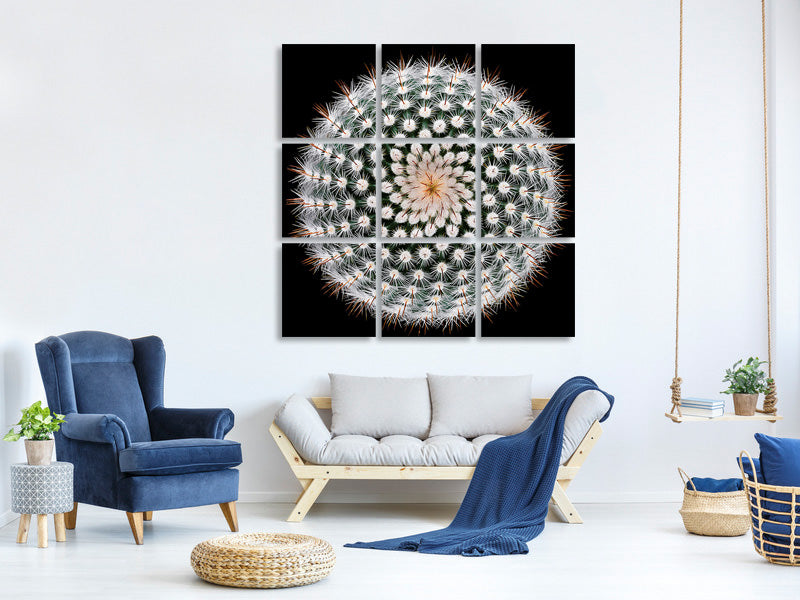 canvas-print-notocactus-scopa
