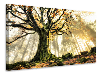 5-piece-canvas-print-november