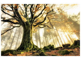3-piece-canvas-print-november