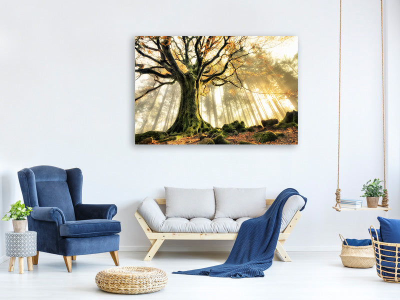 3-piece-canvas-print-november