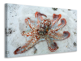 modern-4-piece-canvas-print-octopus-a