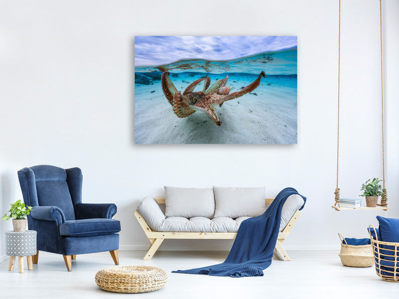 modern-3-piece-canvas-print-octopus-ii