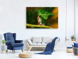 modern-4-piece-canvas-print-ohh-noo