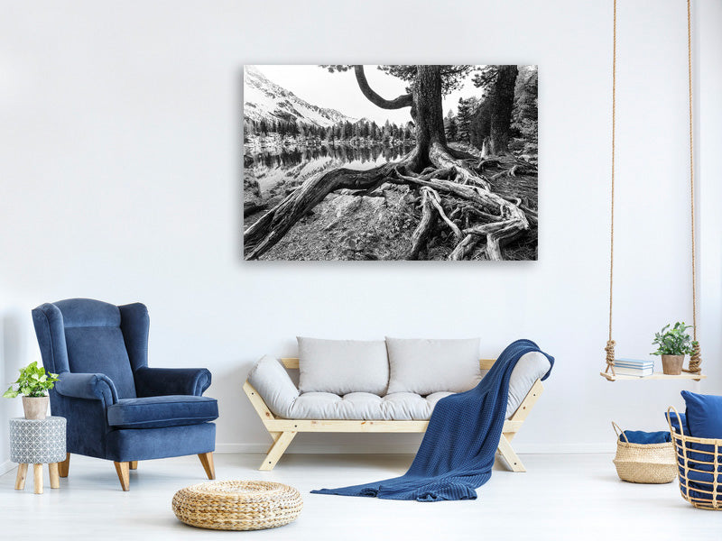 modern-3-piece-canvas-print-old-tree