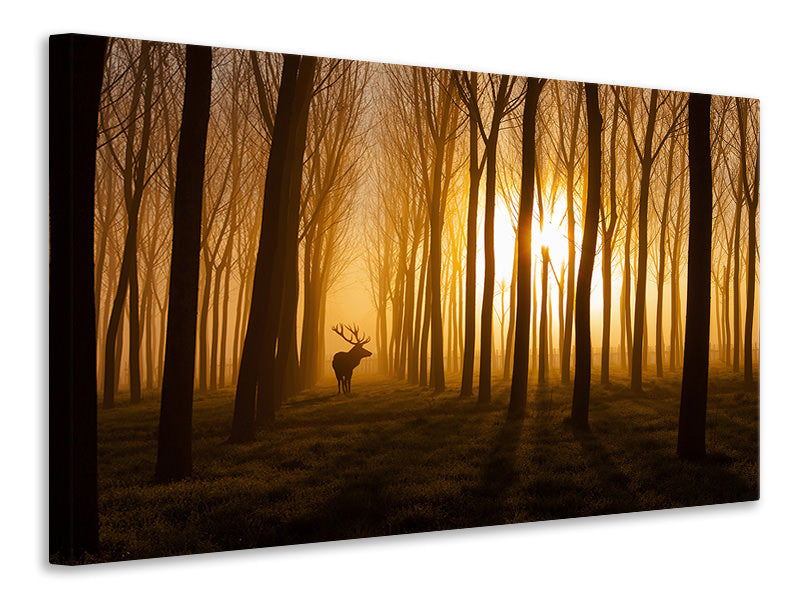 panoramic-3-piece-canvas-print-once-upon-a-time