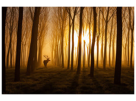 panoramic-3-piece-canvas-print-once-upon-a-time