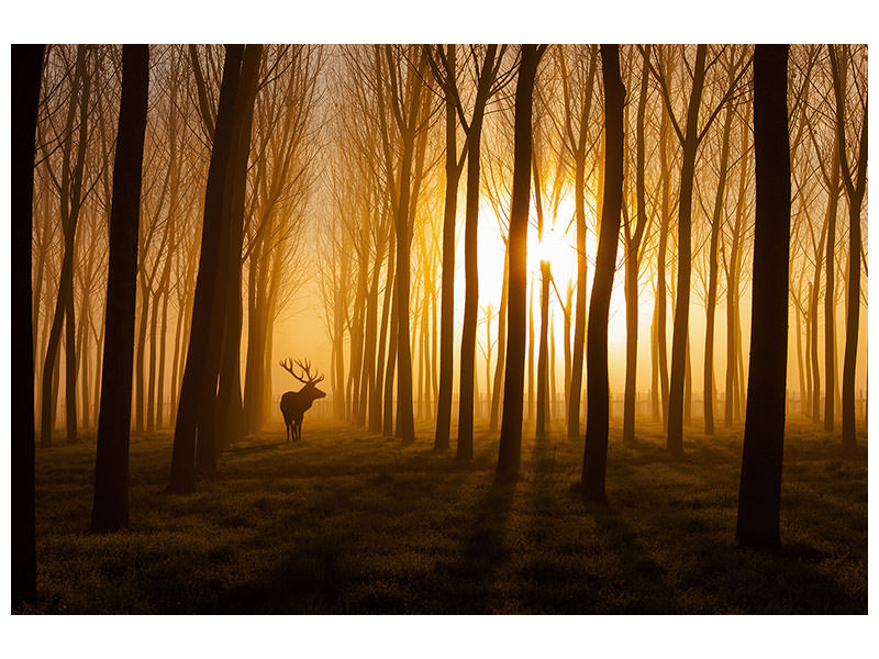 modern-3-piece-canvas-print-once-upon-a-time