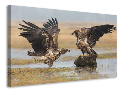 3-piece-canvas-print-open-wings