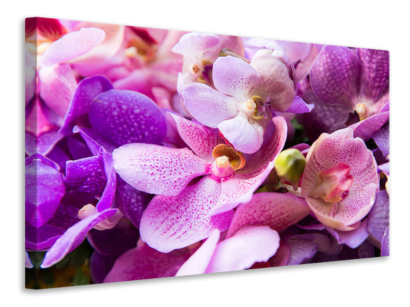 panoramic-3-piece-canvas-print-orchid-paradise