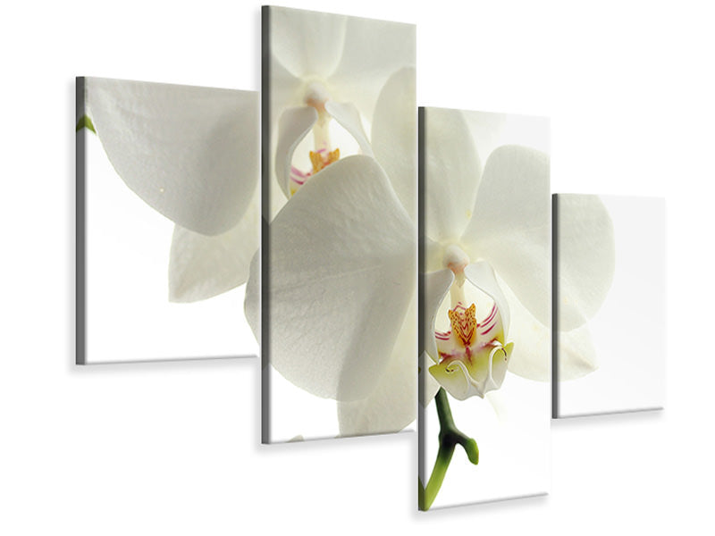 4-piece-canvas-print-orchids-bloom