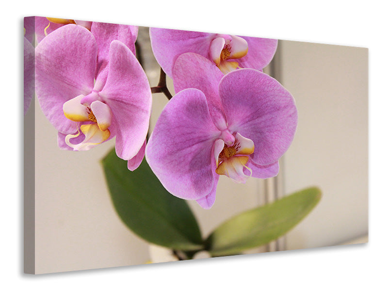 3-piece-canvas-print-orchids-with-purple-flowers-in-xl