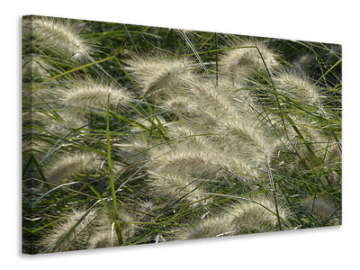 3-piece-canvas-print-ornamental-grass-in-the-wind