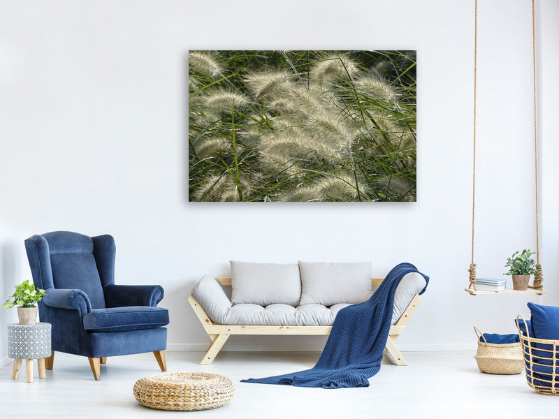 panoramic-3-piece-canvas-print-ornamental-grass-in-the-wind