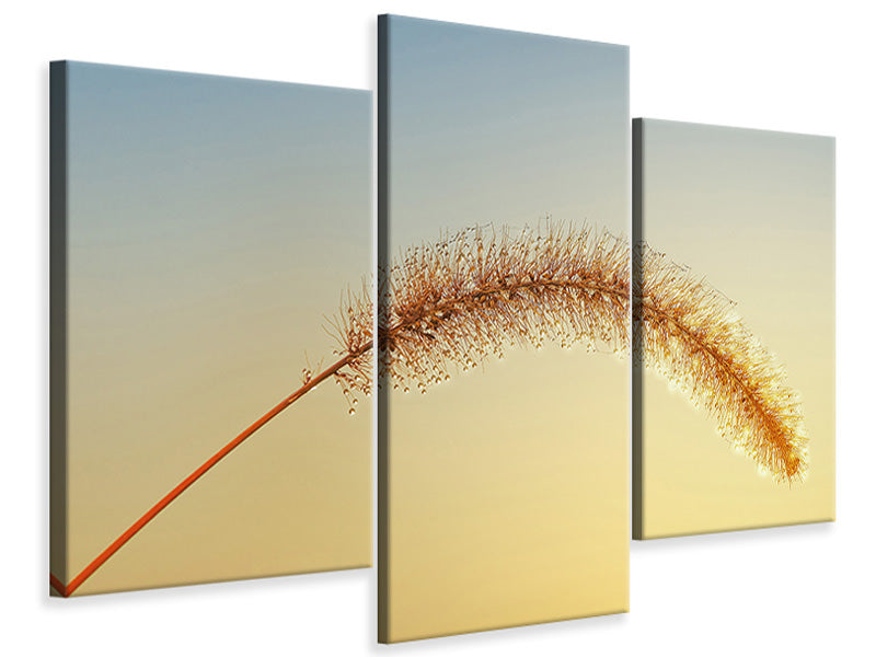 modern-4-piece-canvas-print-ornamental-grass-in-xxl