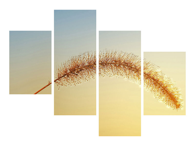 3-piece-canvas-print-ornamental-grass-in-xxl