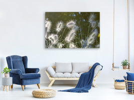 panoramic-canvas-print-ornamental-grasses-in-xl