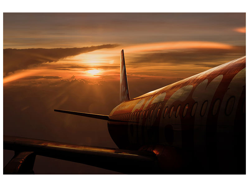panoramic-canvas-print-out-of-the-flight