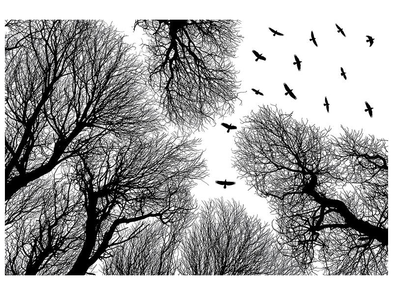 panoramic-3-piece-canvas-print-out-to-the-open