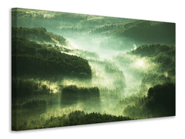 4-piece-canvas-print-over-the-woods