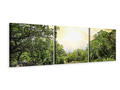 panoramic-3-piece-canvas-print-at-the-end-of-the-forest