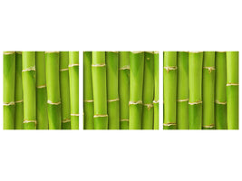 panoramic-3-piece-canvas-print-bamboo-wall