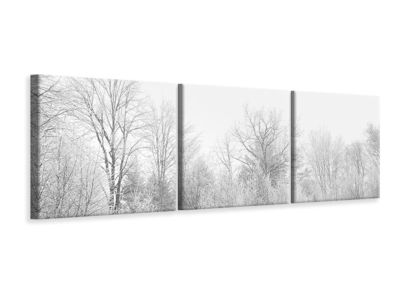 panoramic-3-piece-canvas-print-birches-in-the-snow