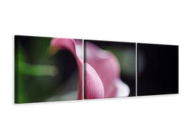 panoramic-3-piece-canvas-print-calla-in-purple