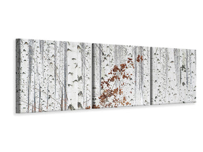 panoramic-3-piece-canvas-print-from-white