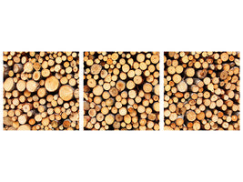 panoramic-3-piece-canvas-print-logs