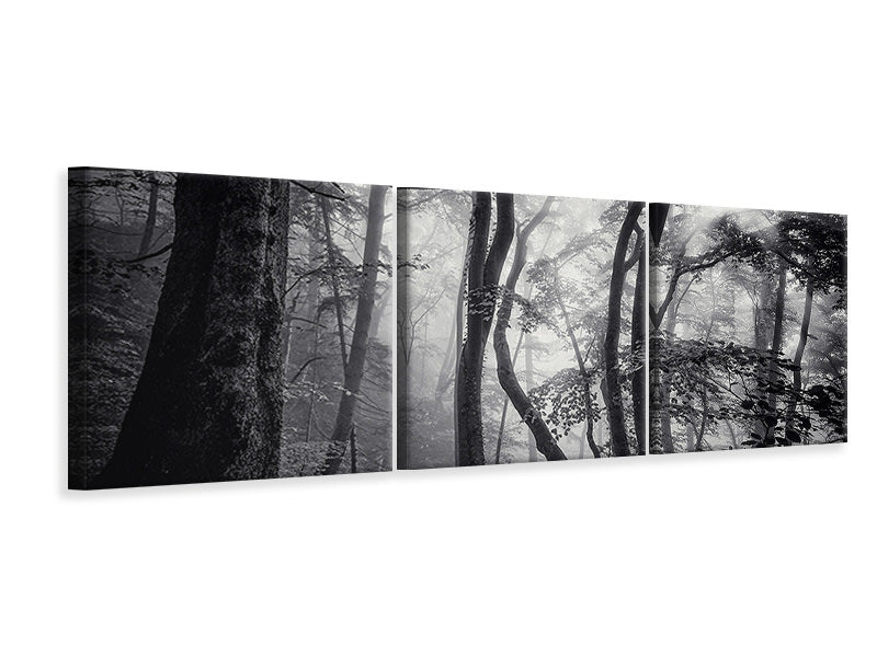 panoramic-3-piece-canvas-print-mysterious-light