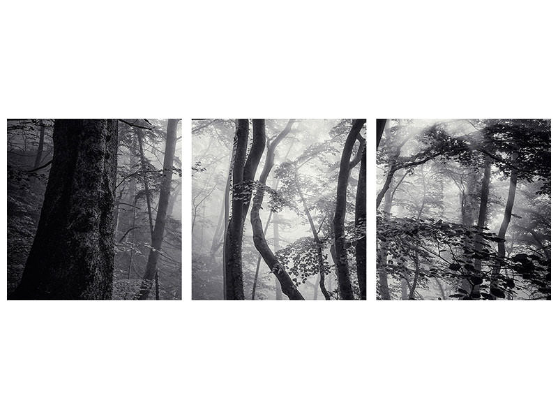 panoramic-3-piece-canvas-print-mysterious-light