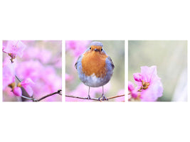 panoramic-3-piece-canvas-print-spring-bird