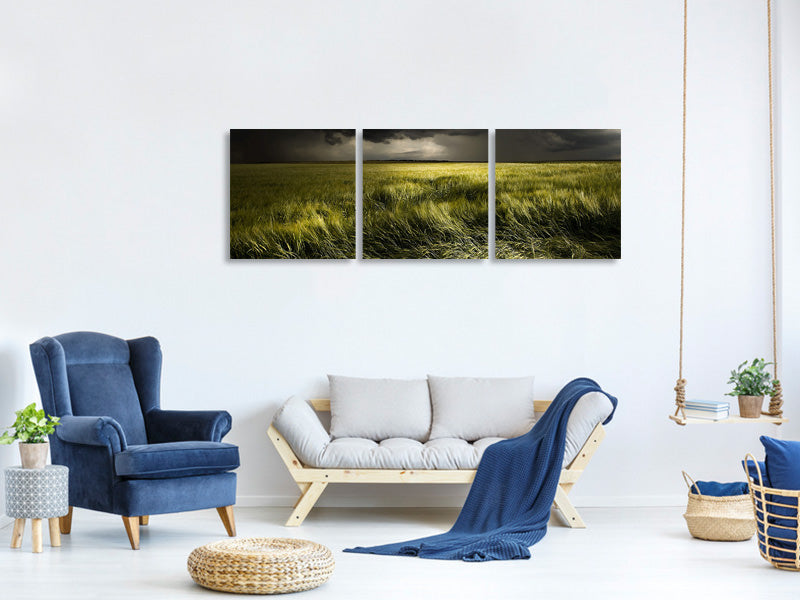 panoramic-3-piece-canvas-print-summer-weather
