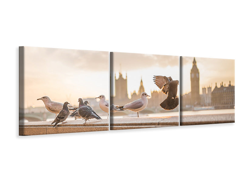 panoramic-3-piece-canvas-print-the-pigeons-on-the-roof