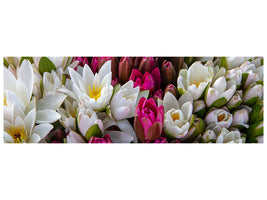panoramic-canvas-print-a-bouquet-of-water-lilies
