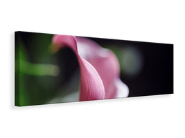 panoramic-canvas-print-calla-in-purple