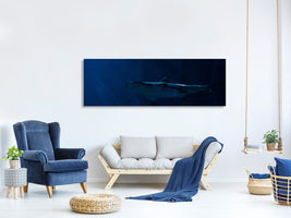 panoramic-canvas-print-dangerous-shark