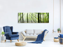 panoramic-canvas-print-magic-light-in-the-trees