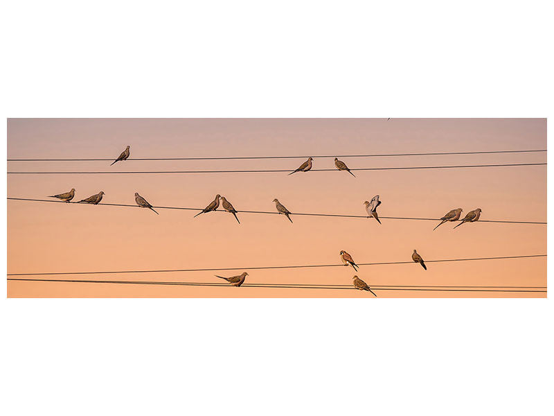 panoramic-canvas-print-music-of-light