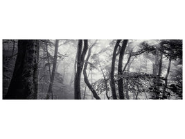 panoramic-canvas-print-mysterious-light
