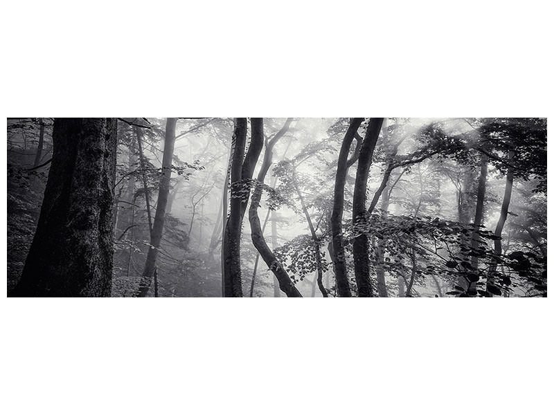 panoramic-canvas-print-mysterious-light