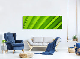 panoramic-canvas-print-palm-stripes-ii