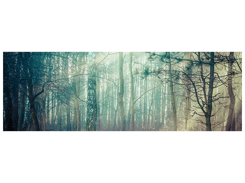 panoramic-canvas-print-pinewood